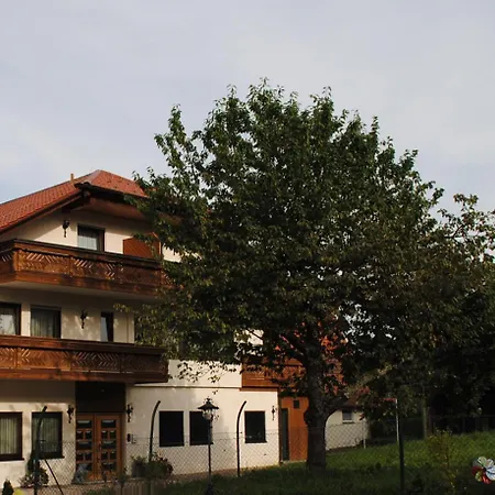 Otel Gasthof-hotel-loewen Hechingen