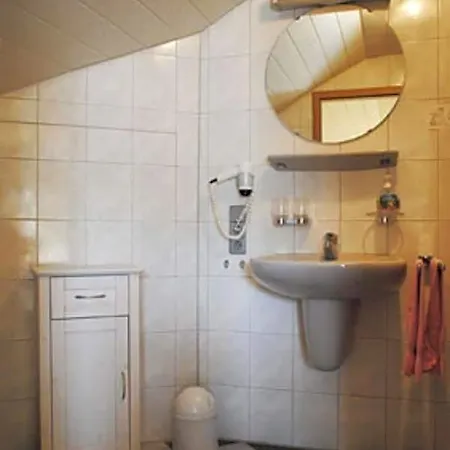 Gasthof-hotel-loewen Hechingen